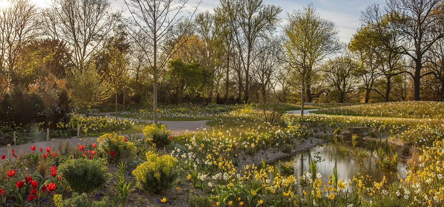 Jardim Queen Elizabeth II em Londres no Regent’s Park