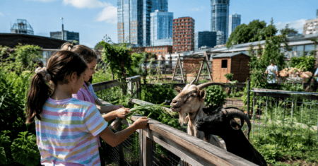 Existe uma Fazenda no Centro de Londres — e Você Pode Visitá-la de Graça